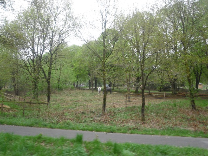 Buchholz 2010 090